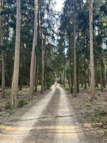 Wanderung Leubnitz