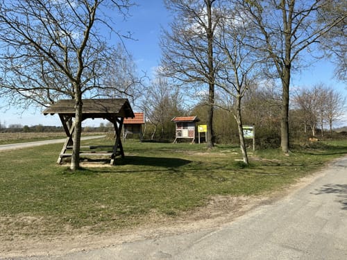 EmsRadweg Etappe 4: Emsdetten - Lingen