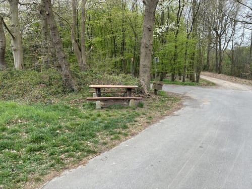EmsRadweg Etappe 4: Emsdetten - Lingen