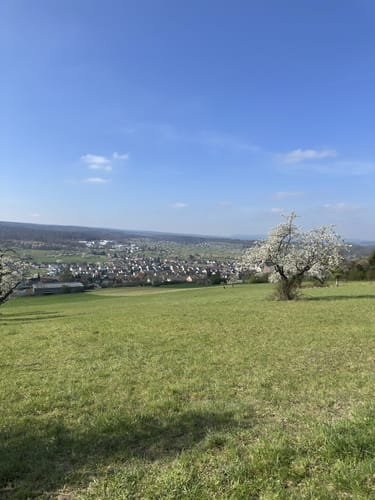 Essigberg und Unterer Wald bei Dietlingen