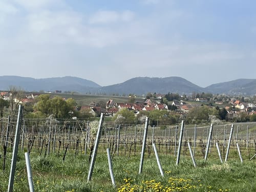 Von Landau nach Ranschbach
