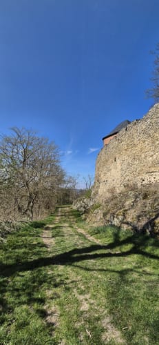 Burg Falkenstein