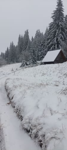 Rund um den Großen Inselberg