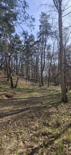 Altwarp Süd