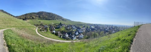 Ortenauer Weinpfad Etappe 6: Zell-Weierbach - Gengenbach