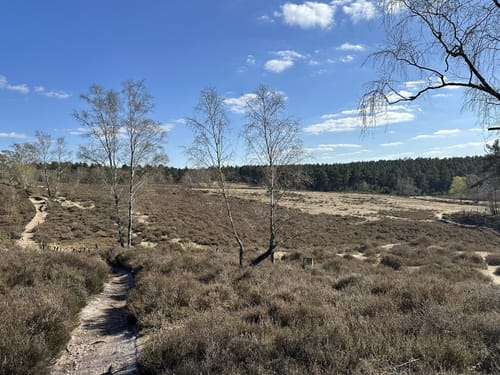 Fischbeker Heide: Fischbektal und Aussichtspunkte