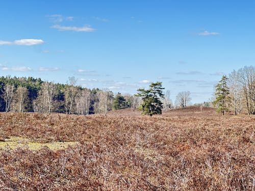 Fischbeker Heide: Fischbektal und Aussichtspunkte
