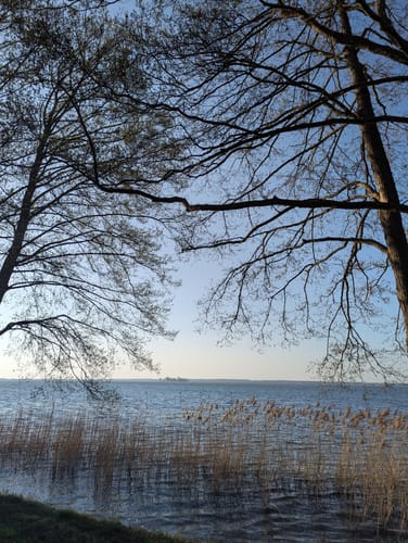 S1 Ufer-Moorwiesenweg (Steinhuder Rundweg)