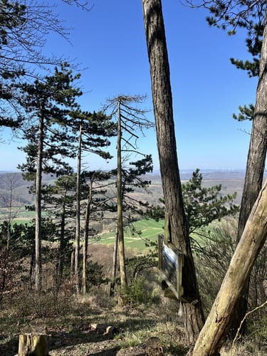 Boyneburg P13 (Premiumwanderweg)