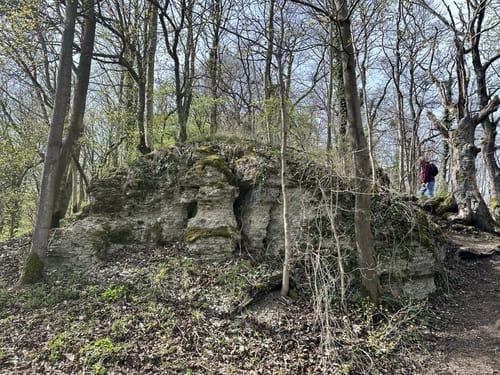 Boyneburg P13 (Premiumwanderweg)