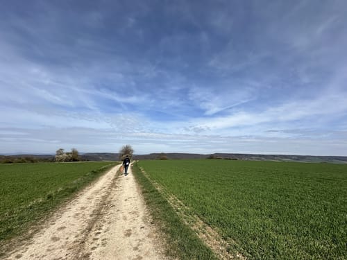 Boyneburg P13 (Premiumwanderweg)