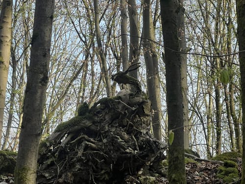 Rund um Frankendorf