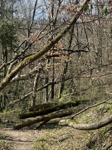 Rund um Frankendorf