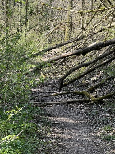 Rund um Frankendorf