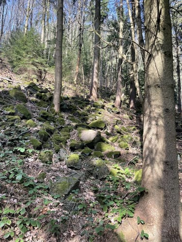 Rund um den Pöhlberg