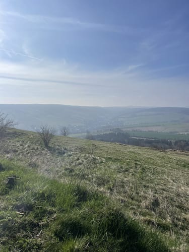 Rund um den Pöhlberg