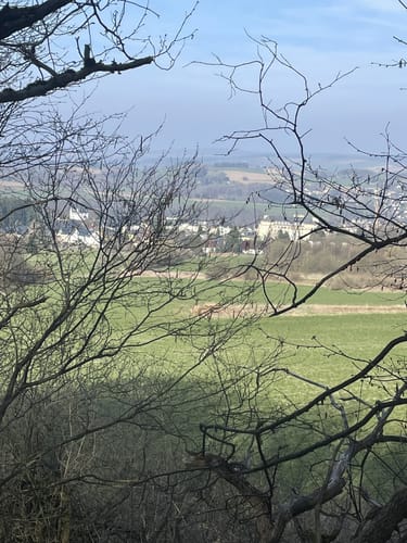 Rund um den Pöhlberg