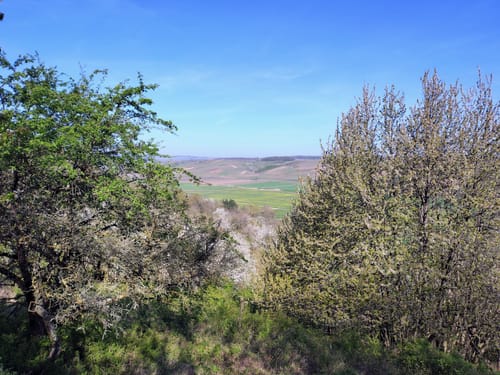 Eremitenpfad (Vitaltour)