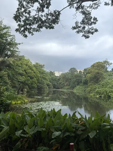 eyJidWNrZXQiOiJhc3NldHMuYWxsdHJhaWxzLmNvbSIsImtleSI6InVwbG9hZHMvcGhvdG8vaW1hZ2UvOTYzOTkwMDEvY2FiZjAwMDkyZTBjY2UyNTM3MDY1MGJlNzJkOGRkZTEuanBnIiwiZWRpdHMiOnsidG9Gb3JtYXQiOiJ3ZWJwIiwicmVzaXplIjp7IndpZHRoIjo1MDAsImhlaWdodCI6NTAwLCJmaXQiOiJpbnNpZGUifSwicm90YXRlIjpudWxsLCJqcGVnIjp7InRyZWxsaXNRdWFudGlzYXRpb24iOnRydWUsIm92ZXJzaG9vdERlcmluZ2luZyI6dHJ1ZSwib3B0aW1pc2VTY2FucyI6dHJ1ZSwicXVhbnRpc2F0aW9uVGFibGUiOjN9fX0=