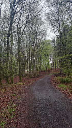 Utscheid (Naturpark Südeifel Wanderweg Nr. 82)