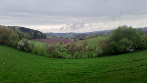 Utscheid (Naturpark Südeifel Wanderweg Nr. 82)