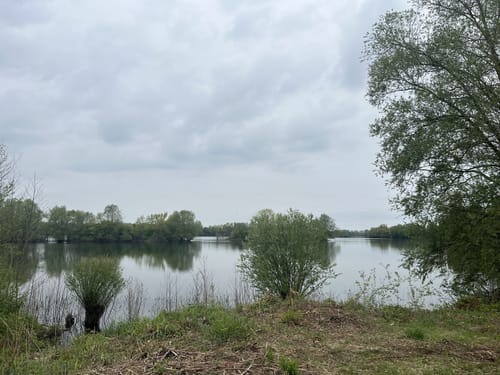 Leineaue zwischen Ruthe und Koldingen