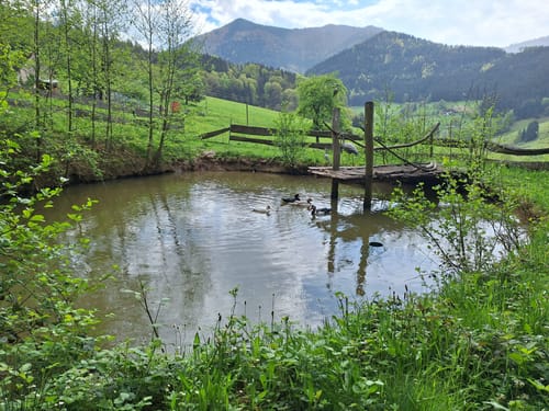 Mühlen-Rundwanderweg Simonswald