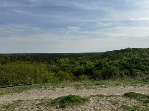 Grunewald: Drachenberg - Teufelsberg