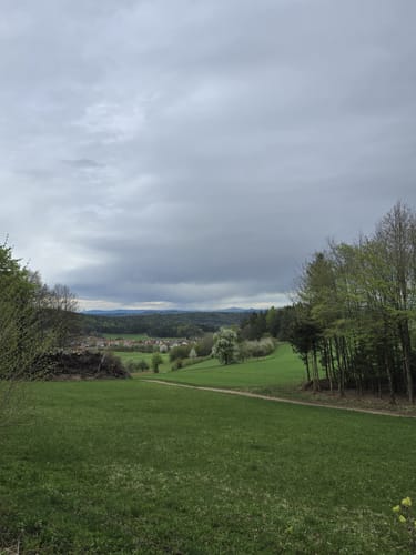 Ossinger ab Breitenstein