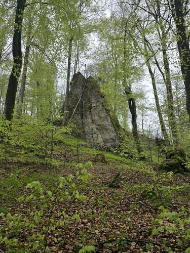 Ossinger ab Breitenstein