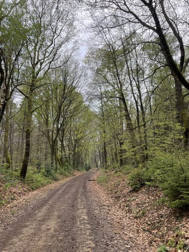 Thönbach, Althubertushöhe, Drei Augen Wanderweg