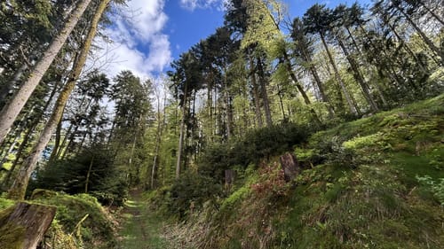 Görwihl - Engelschwand