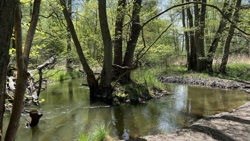 Mildenitztal