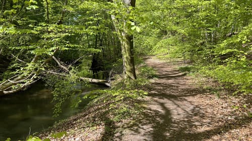 Mildenitztal