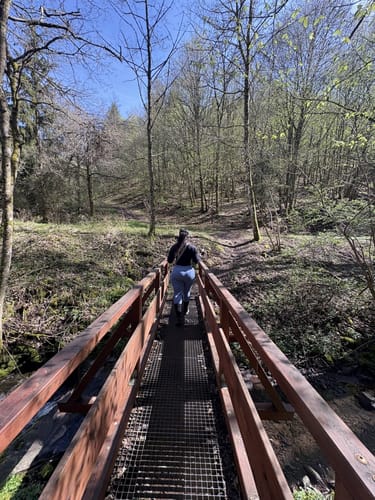 Gräfin-Loretta-Weg (Traumschleife)