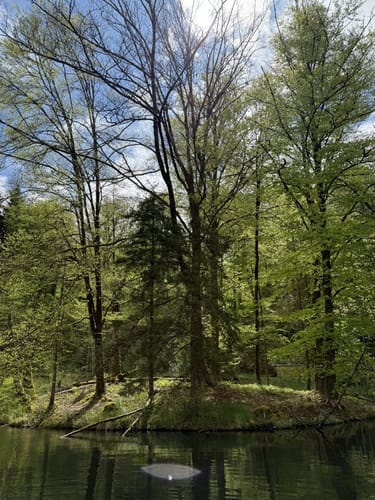 Rund um den Trimmdichpfad Schäferhof