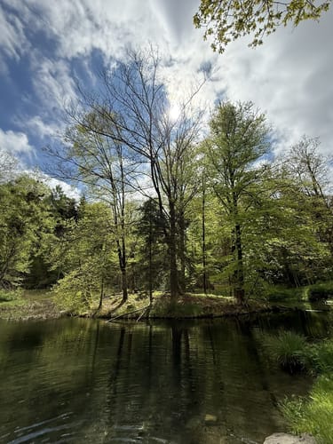 Rund um den Trimmdichpfad Schäferhof