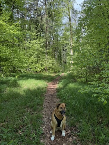 Rund um den Trimmdichpfad Schäferhof