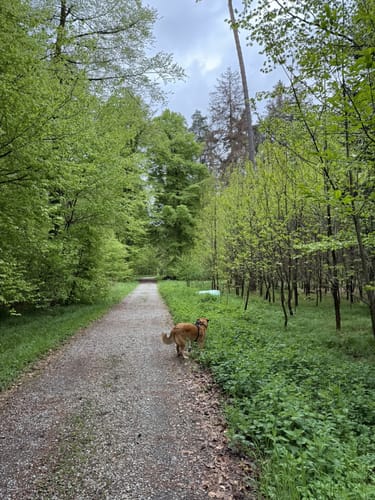 Rund um den Trimmdichpfad Schäferhof
