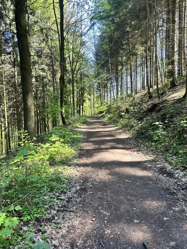 Naturpark Varusturm