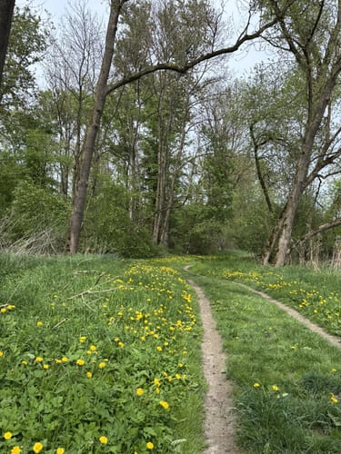 Rundweg durch die Isarauen bei Moosburg