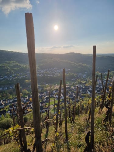 Stein & Wein Panorama-Erlebnisweg