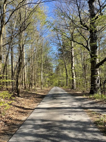 Peetschsee Rundweg
