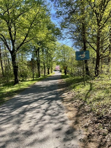 Peetschsee Rundweg