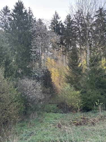 Jakobsweg von Bad Münstereifel nach Blankenheim