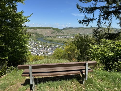 Zitronenkrämerkreuz (Premiumwanderweg)