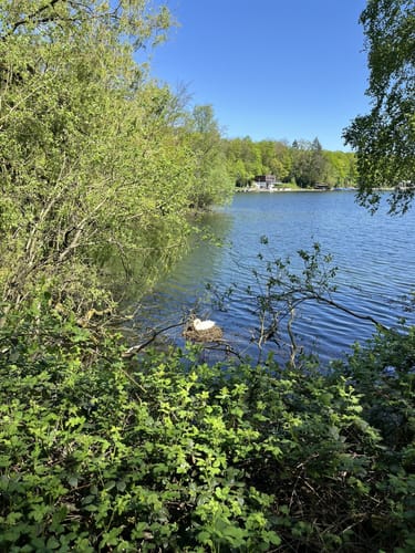 Zehn-Seen-Runde bei Brühl