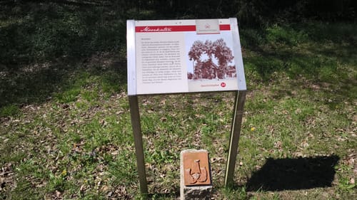 Küstenmoor Rundtour