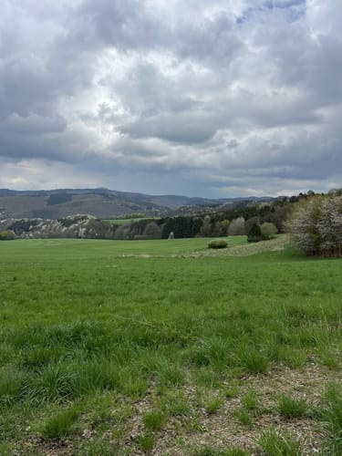 Auf den Spuren der Grünen Hölle