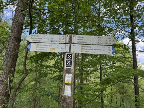 SA2 Wasserbaum-Weg